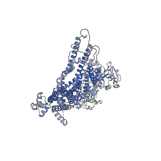7822_6d73_B_v1-3
Cryo-EM structure of the zebrafish TRPM2 channel in the presence of Ca2+