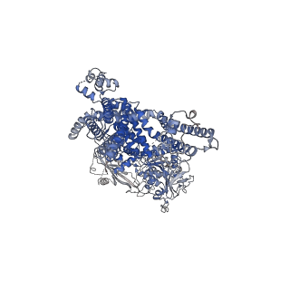 7822_6d73_C_v1-3
Cryo-EM structure of the zebrafish TRPM2 channel in the presence of Ca2+