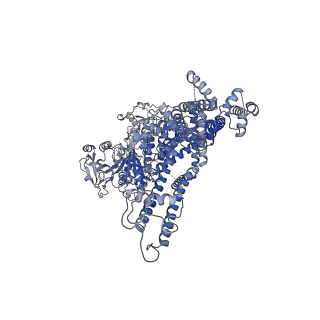 7822_6d73_D_v1-3
Cryo-EM structure of the zebrafish TRPM2 channel in the presence of Ca2+