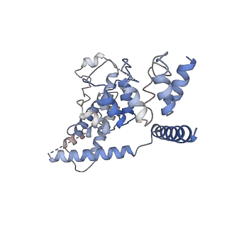 7823_6d7l_A_v1-5
Cytoplasmic domain of TRPC3