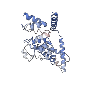 7823_6d7l_B_v1-4
Cytoplasmic domain of TRPC3