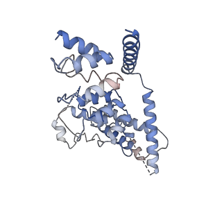 7823_6d7l_B_v1-5
Cytoplasmic domain of TRPC3