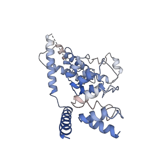 7823_6d7l_D_v1-4
Cytoplasmic domain of TRPC3