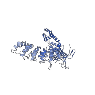 7824_6d7s_A_v1-1
Cryo-EM structure of human TRPV6-Y467A in amphipols