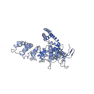 7824_6d7s_A_v1-2
Cryo-EM structure of human TRPV6-Y467A in amphipols