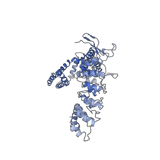 7824_6d7s_B_v1-1
Cryo-EM structure of human TRPV6-Y467A in amphipols