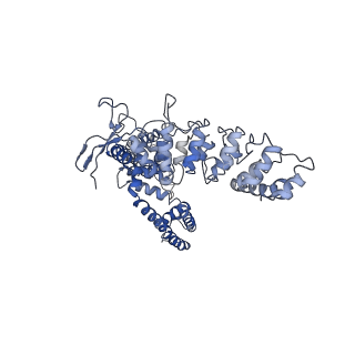 7824_6d7s_C_v1-1
Cryo-EM structure of human TRPV6-Y467A in amphipols