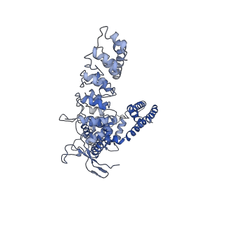 7824_6d7s_D_v1-1
Cryo-EM structure of human TRPV6-Y467A in amphipols