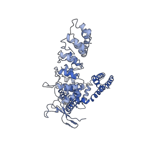 7824_6d7s_D_v1-2
Cryo-EM structure of human TRPV6-Y467A in amphipols