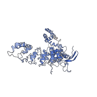 7825_6d7t_A_v1-1
Cryo-EM structure of human TRPV6-Y467A in complex with 2-Aminoethoxydiphenyl borate (2-APB)