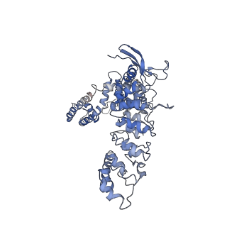 7825_6d7t_B_v1-1
Cryo-EM structure of human TRPV6-Y467A in complex with 2-Aminoethoxydiphenyl borate (2-APB)