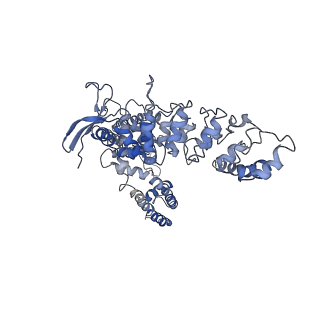 7825_6d7t_C_v1-1
Cryo-EM structure of human TRPV6-Y467A in complex with 2-Aminoethoxydiphenyl borate (2-APB)