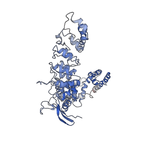 7825_6d7t_D_v1-1
Cryo-EM structure of human TRPV6-Y467A in complex with 2-Aminoethoxydiphenyl borate (2-APB)