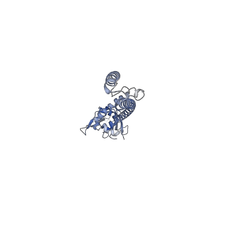 7826_6d7w_A_v1-4
Cryo-EM structure of the mitochondrial calcium uniporter from N. fischeri at 3.8 Angstrom resolution