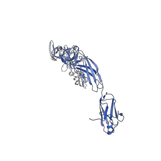 27244_8d82_A_v1-0
Cryo-EM structure of human IL-6 signaling complex in detergent: model containing full extracellular domains