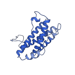 27244_8d82_D_v1-0
Cryo-EM structure of human IL-6 signaling complex in detergent: model containing full extracellular domains