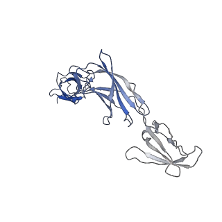 27244_8d82_G_v1-0
Cryo-EM structure of human IL-6 signaling complex in detergent: model containing full extracellular domains