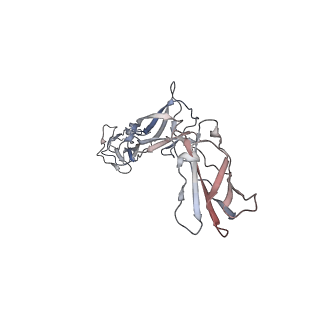 27247_8d85_B_v1-0
Cryo-EM structure of human IL-27 signaling complex: model containing the interaction core region