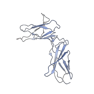 27247_8d85_C_v1-0
Cryo-EM structure of human IL-27 signaling complex: model containing the interaction core region