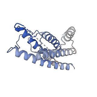 27247_8d85_D_v1-0
Cryo-EM structure of human IL-27 signaling complex: model containing the interaction core region