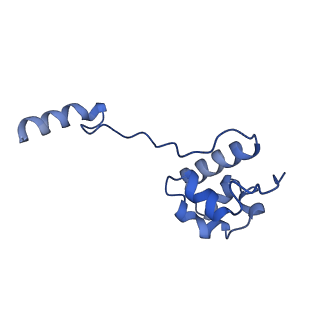 27250_8d8k_2_v1-1
Yeast mitochondrial small subunit assembly intermediate (State 2)