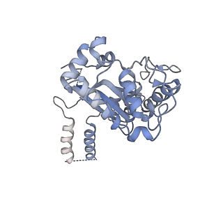 27250_8d8k_4_v1-1
Yeast mitochondrial small subunit assembly intermediate (State 2)