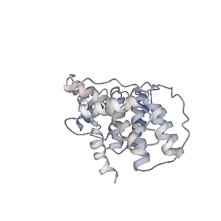 27250_8d8k_5_v1-1
Yeast mitochondrial small subunit assembly intermediate (State 2)
