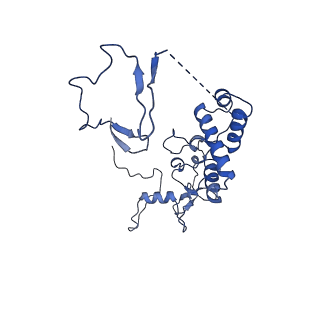 27250_8d8k_6_v1-1
Yeast mitochondrial small subunit assembly intermediate (State 2)