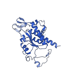 27250_8d8k_B_v1-1
Yeast mitochondrial small subunit assembly intermediate (State 2)
