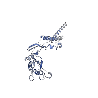 27250_8d8k_C_v1-1
Yeast mitochondrial small subunit assembly intermediate (State 2)