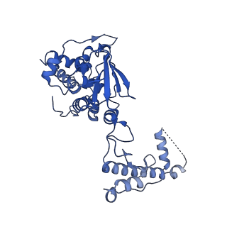 27250_8d8k_D_v1-1
Yeast mitochondrial small subunit assembly intermediate (State 2)