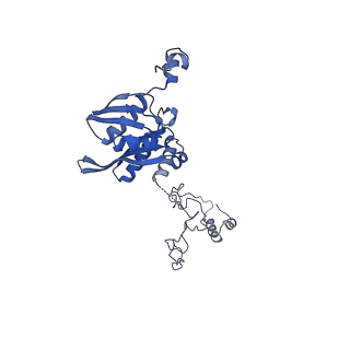 27250_8d8k_E_v1-1
Yeast mitochondrial small subunit assembly intermediate (State 2)