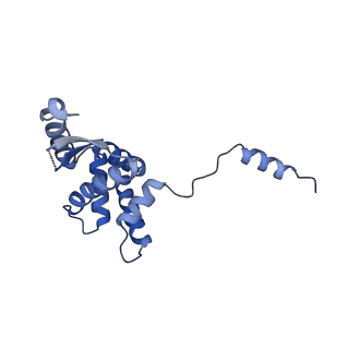 27250_8d8k_G_v1-1
Yeast mitochondrial small subunit assembly intermediate (State 2)