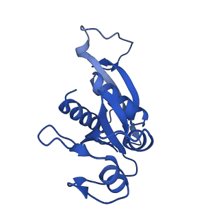 27250_8d8k_H_v1-1
Yeast mitochondrial small subunit assembly intermediate (State 2)