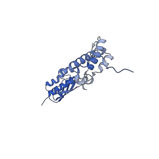27250_8d8k_I_v1-1
Yeast mitochondrial small subunit assembly intermediate (State 2)