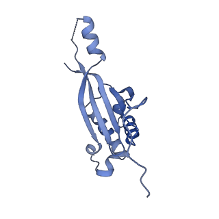 27250_8d8k_K_v1-1
Yeast mitochondrial small subunit assembly intermediate (State 2)