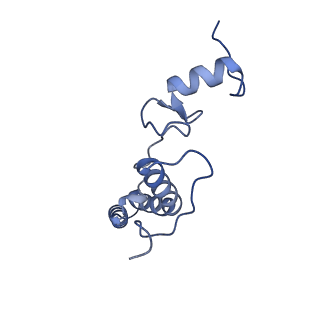 27250_8d8k_N_v1-1
Yeast mitochondrial small subunit assembly intermediate (State 2)