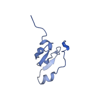 27250_8d8k_S_v1-1
Yeast mitochondrial small subunit assembly intermediate (State 2)