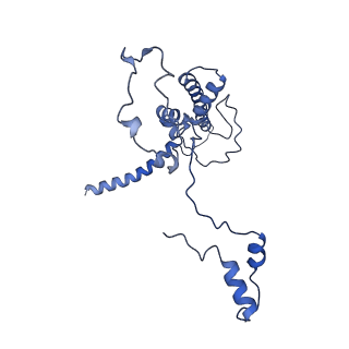 27250_8d8k_U_v1-1
Yeast mitochondrial small subunit assembly intermediate (State 2)