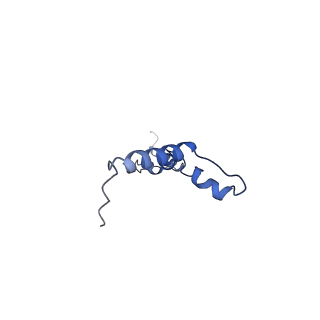 27250_8d8k_X_v1-1
Yeast mitochondrial small subunit assembly intermediate (State 2)