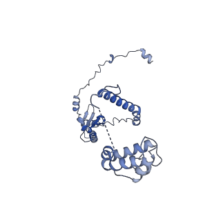27250_8d8k_Y_v1-1
Yeast mitochondrial small subunit assembly intermediate (State 2)