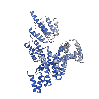27250_8d8k_d_v1-1
Yeast mitochondrial small subunit assembly intermediate (State 2)