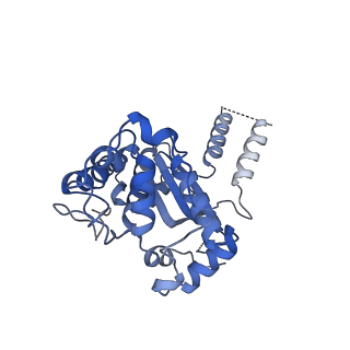 27251_8d8l_4_v1-2
Yeast mitochondrial small subunit assembly intermediate (State 3)