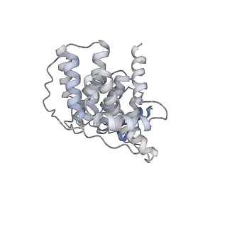 27251_8d8l_5_v1-2
Yeast mitochondrial small subunit assembly intermediate (State 3)