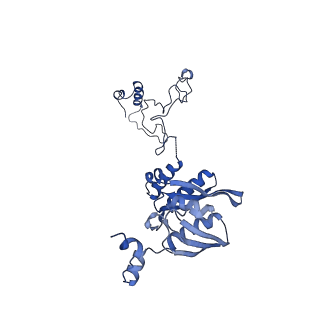 27251_8d8l_E_v1-2
Yeast mitochondrial small subunit assembly intermediate (State 3)