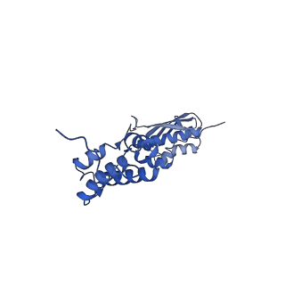 27251_8d8l_I_v1-2
Yeast mitochondrial small subunit assembly intermediate (State 3)