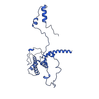 27251_8d8l_U_v1-2
Yeast mitochondrial small subunit assembly intermediate (State 3)