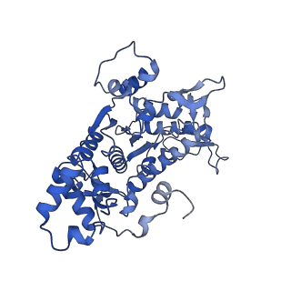 27251_8d8l_W_v1-2
Yeast mitochondrial small subunit assembly intermediate (State 3)