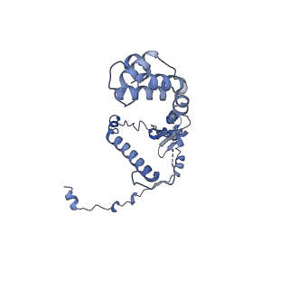 27251_8d8l_Y_v1-2
Yeast mitochondrial small subunit assembly intermediate (State 3)