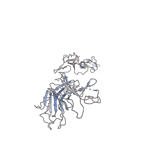 27253_8d8o_A_v1-0
Cryo-EM structure of substrate unbound PAPP-A